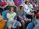 Crowd at Queensland Cricket Match